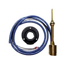 euro femea 3 jpg.jpg